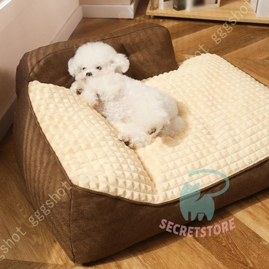 室内 大型犬