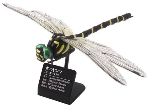 TAKARA TOMY A. R.T.S 原色図鑑シリーズ 日本のトンボ