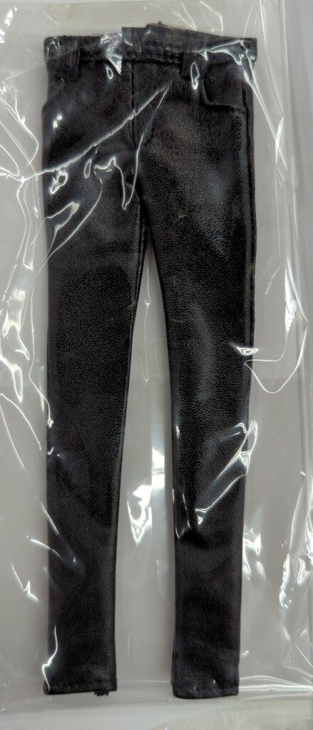 ペットワークス 六分の一男子図鑑 ナイン パンクスタイル