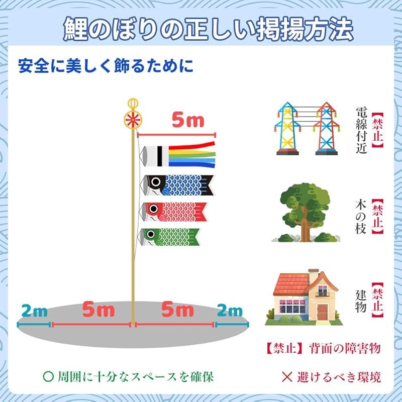 特選 鯉のぼり