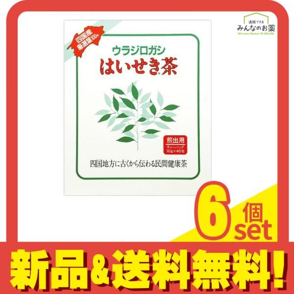 はいせき茶(煎出用) 10g (×40包) 6個セット まとめ売り