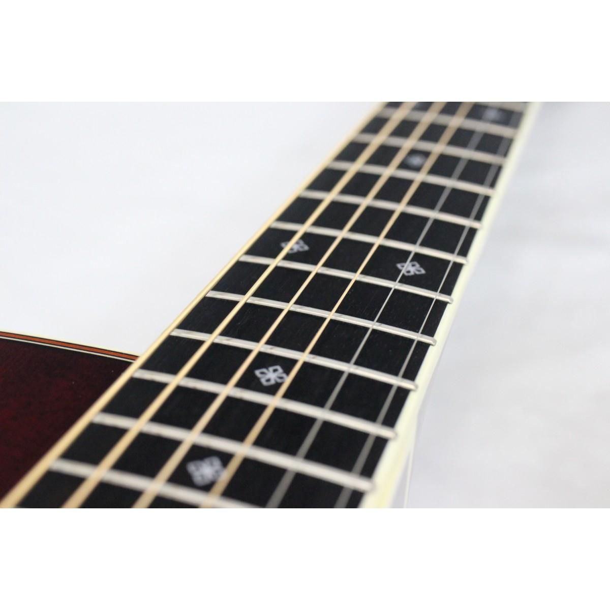 ＴＡＫＡＭＩＮＥ ＤＭＰ５０Ｓ