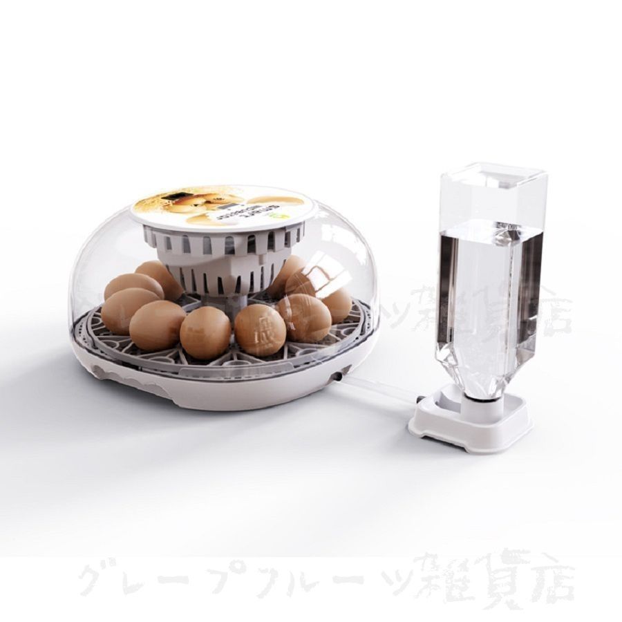 自動孵卵器 自動孵卵器 ふ卵器 温度表示 自動転卵/加湿 鶏卵12個入卵可能