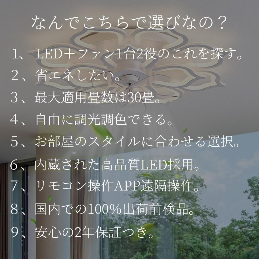 LED 12畳