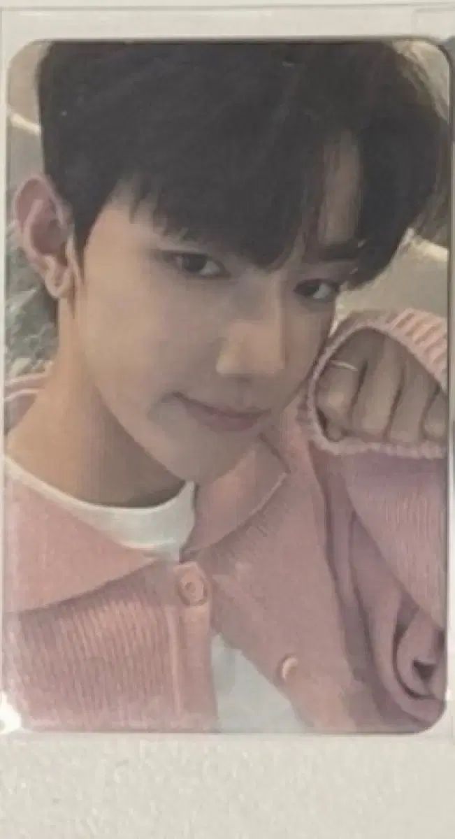 ジャン・ハオ(ZHANG HAO) EVERLINE エバーライン ・エバラ 拳