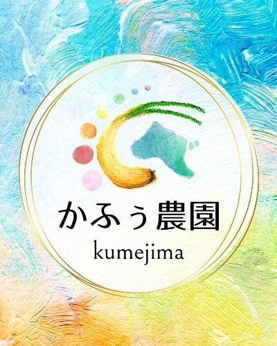 久米島産直　島らっきょう【お試し】300g