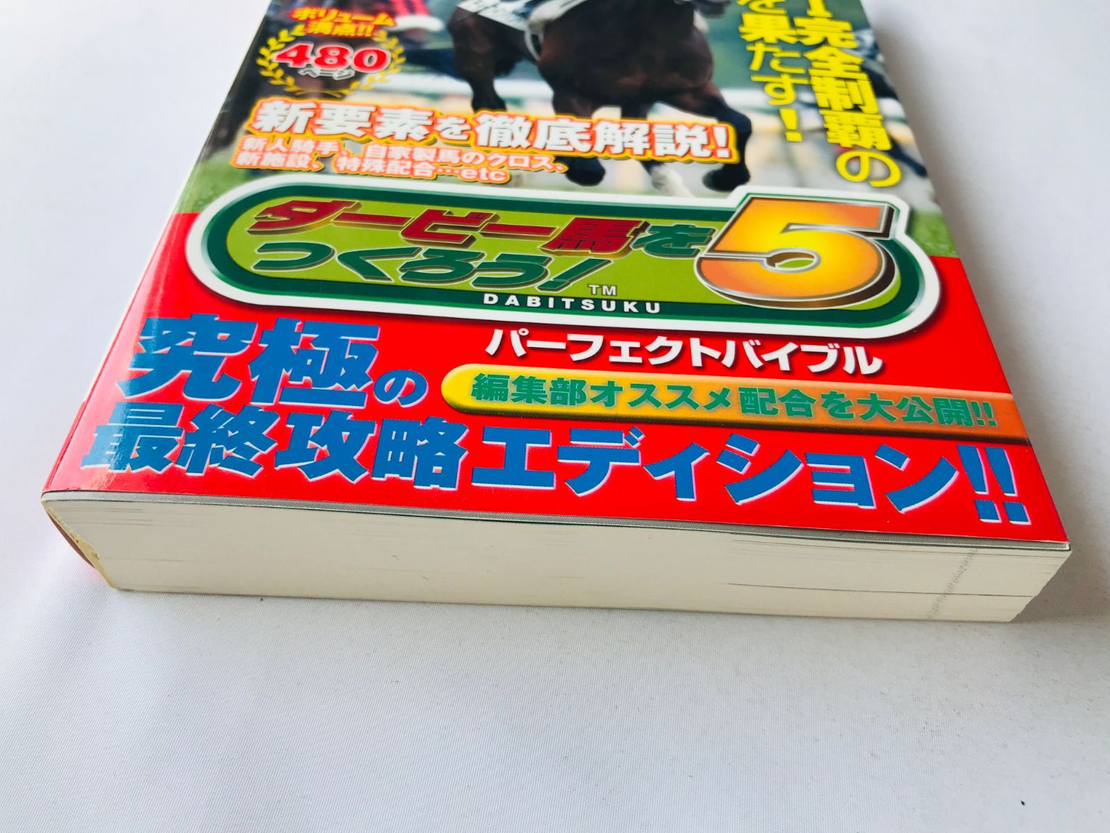 ダービー馬をつくろう！ 5 パーフェクトバイブル 攻略本 ガイド ダビ