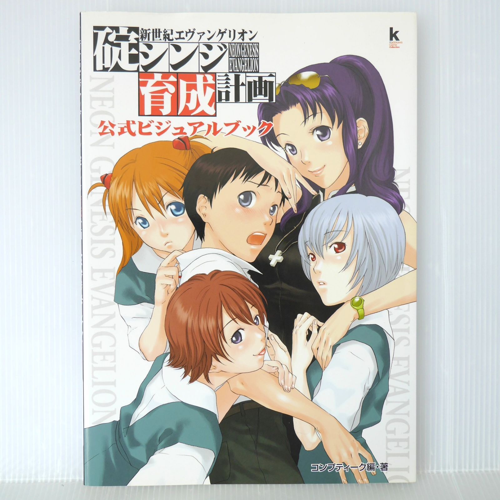 初版 絶版 新世紀エヴァンゲリオン 碇シンジ育成計画 公式ビジュアル