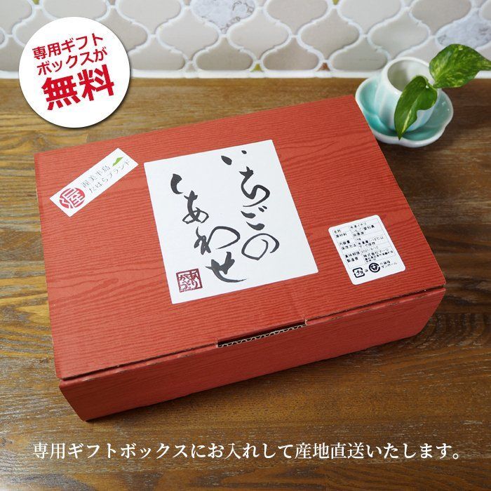 愛知県産冷凍いちご 1kg 保存に便利な保冷袋付き
