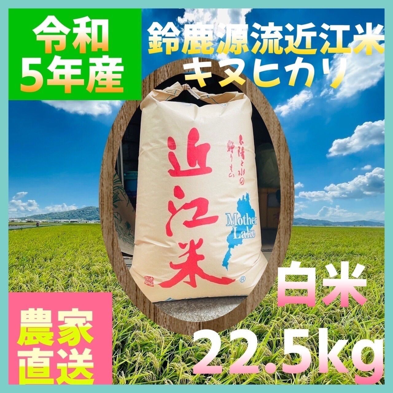 滋賀県産キヌヒカリ5年産白米5kg - 米・雑穀・粉類