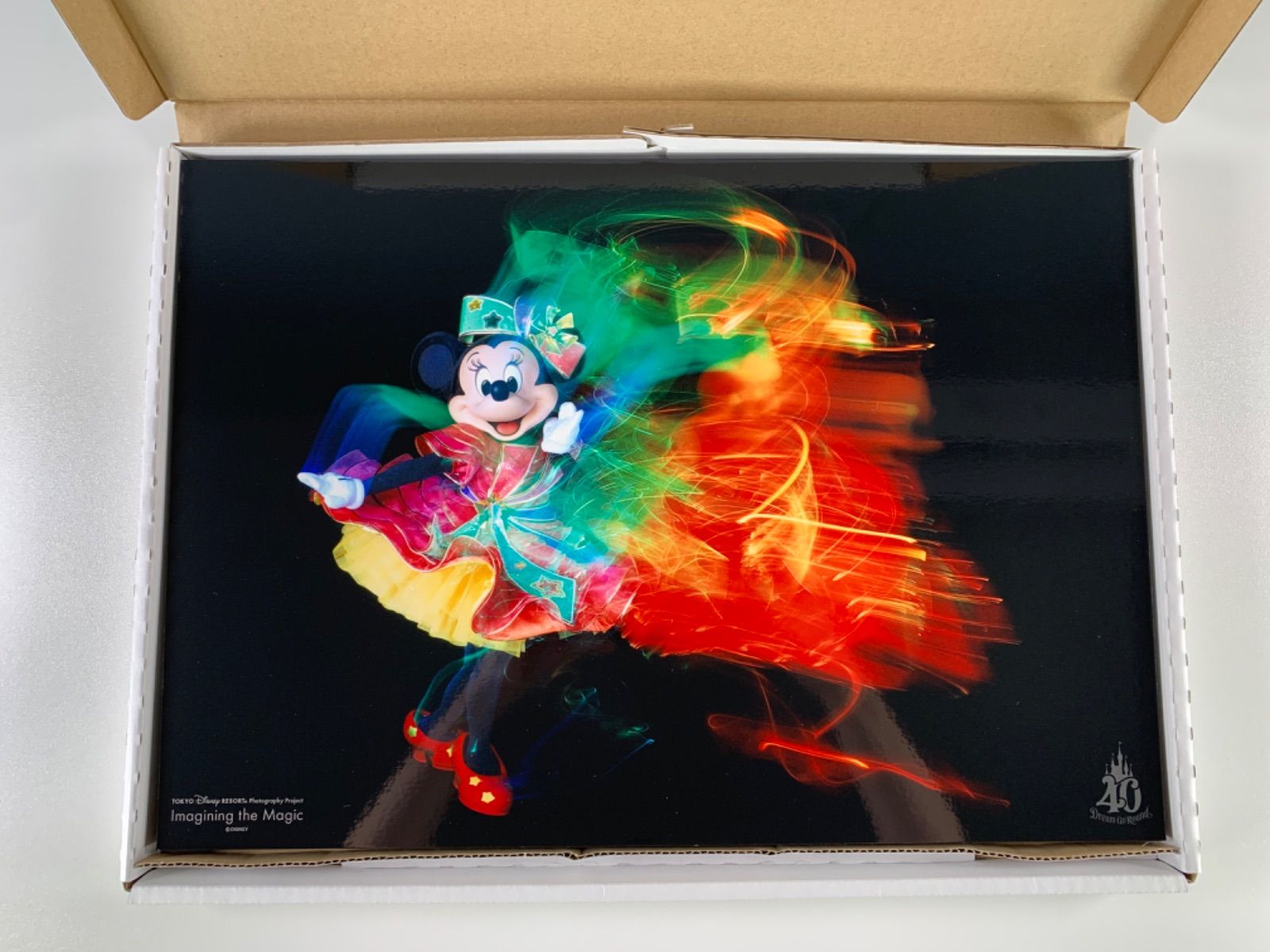 希少 レア ディズニー イマジニングザマジック ミニー アート 3D パネル ☆未使用品 美品 希少 TOKYO ディズニー リゾートImagining the