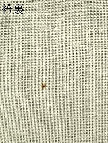 蚊絣 正絹
