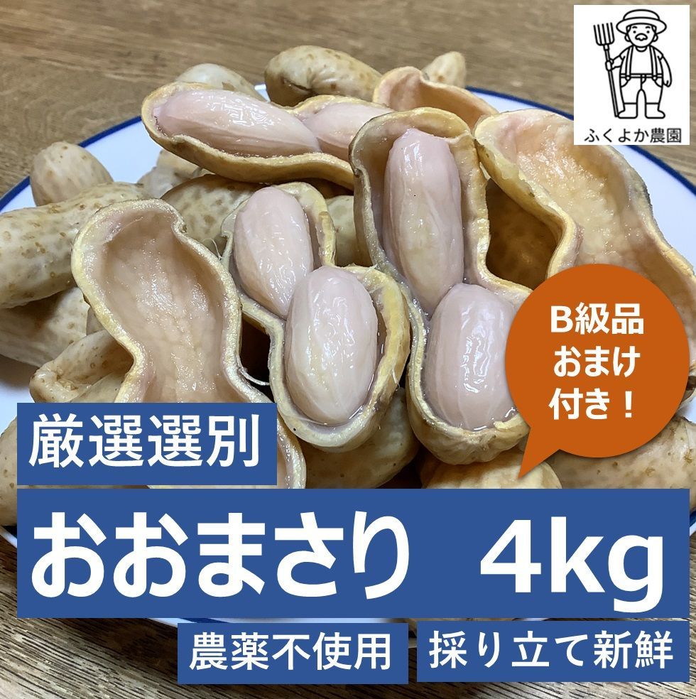 おおまさり　4 kg　生落花生　B級品おまけ付き！