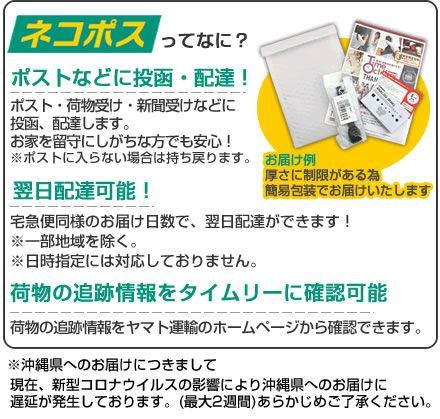 福袋 ウォッチ BOXなしの訳あり チープカシオ腕時計2本セット福袋【スクエア型×レディース】福袋 2025 ネコポス 福袋 ウォッチ BOXなしの訳あり チープカシオ腕時計2本セット福袋【スクエア型