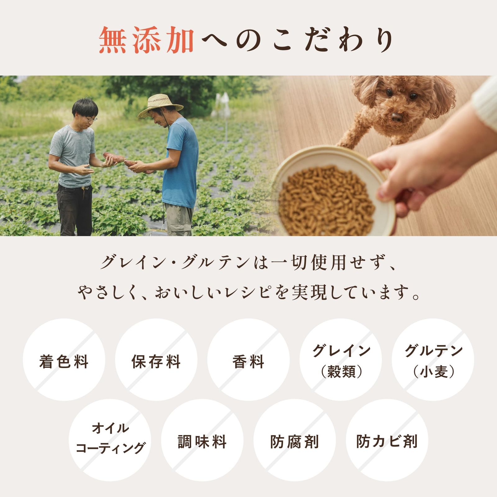 ドッグフードオールステージ 国産の生鶏肉味