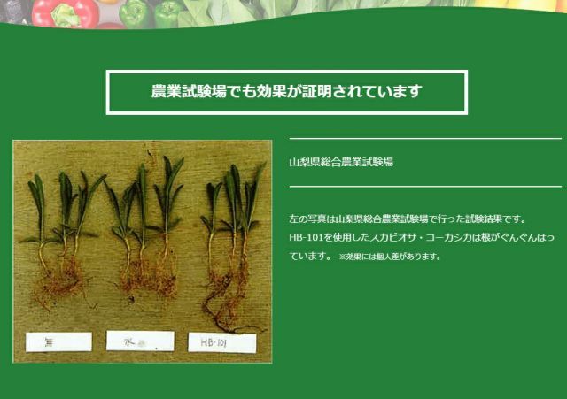 天然植物活力剤 HB101