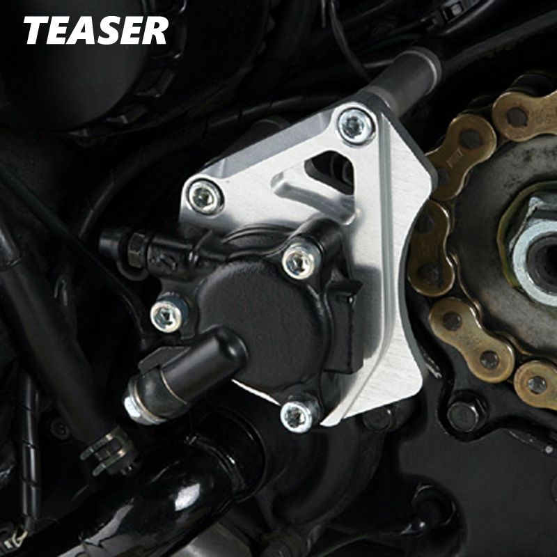 TEASER（ティ―ザ―）[D4C3S]クラッチレリーズプレート【SI】ZZR1100