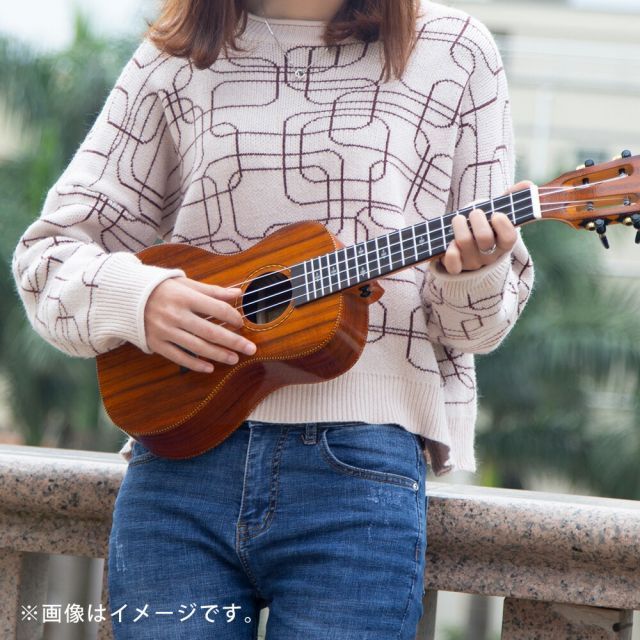 チューナー ピック