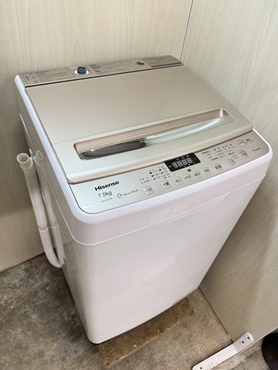 大阪 3か月保障付き 洗濯機 ハイセンス 7.5kg 2019年 HW-DG75A IS-256