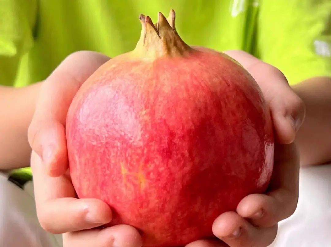 即日発送！ 良い 新鮮【空輸】アメリカ産ザクロ 石榴 1箱セット約5.8