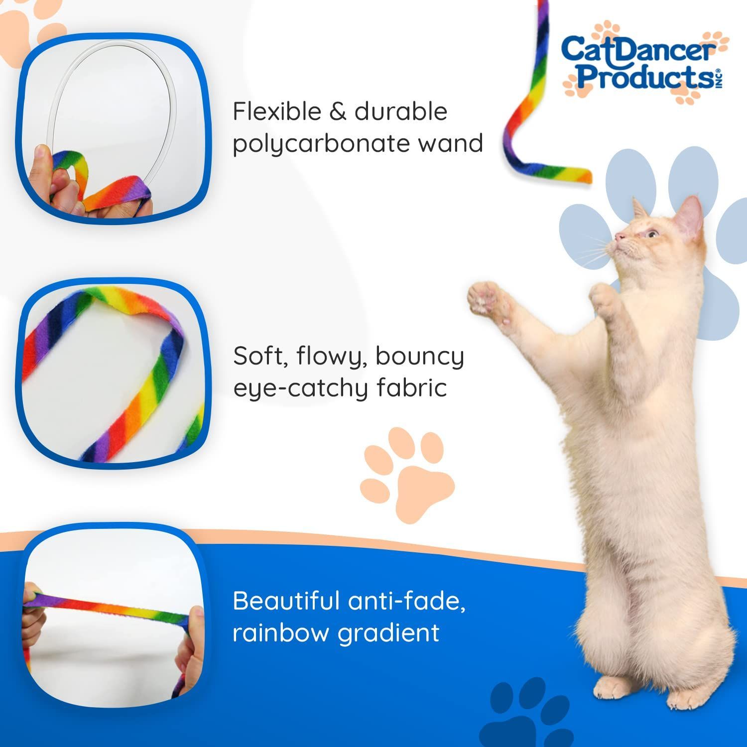 Danser Cat