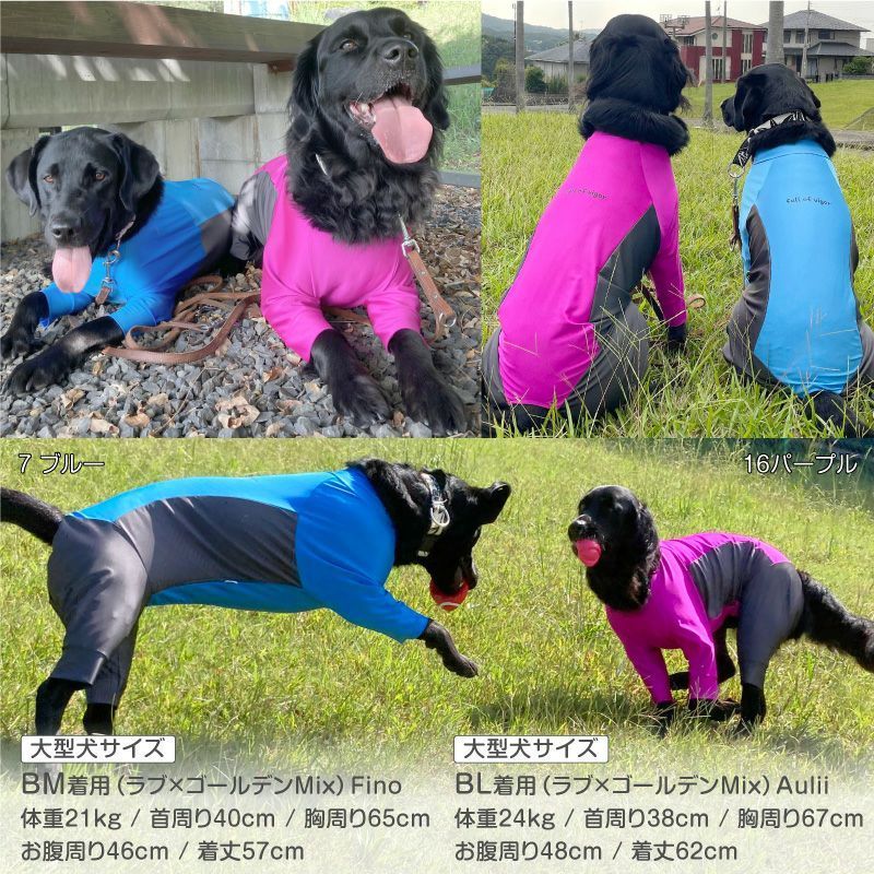 犬用品 【新品】『B2Lサイズ』大型犬用 伸びて 着せやすい ドッグ