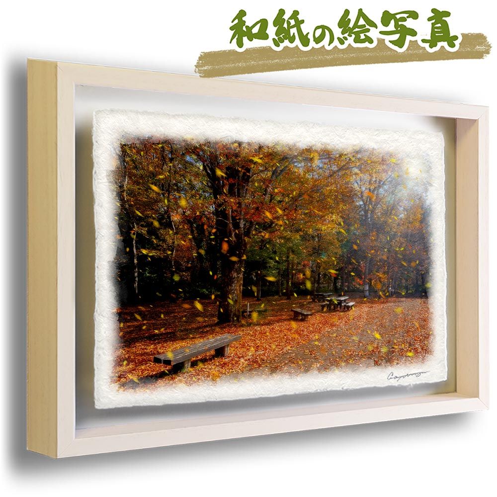 Billkin PP 公式写真集 新品未開封 Billkin PP 写真集 ALBUM BOX SET BKPP