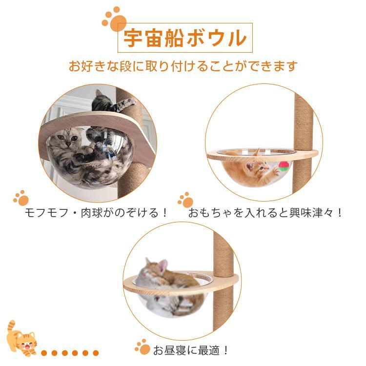つめとぎ 爪研