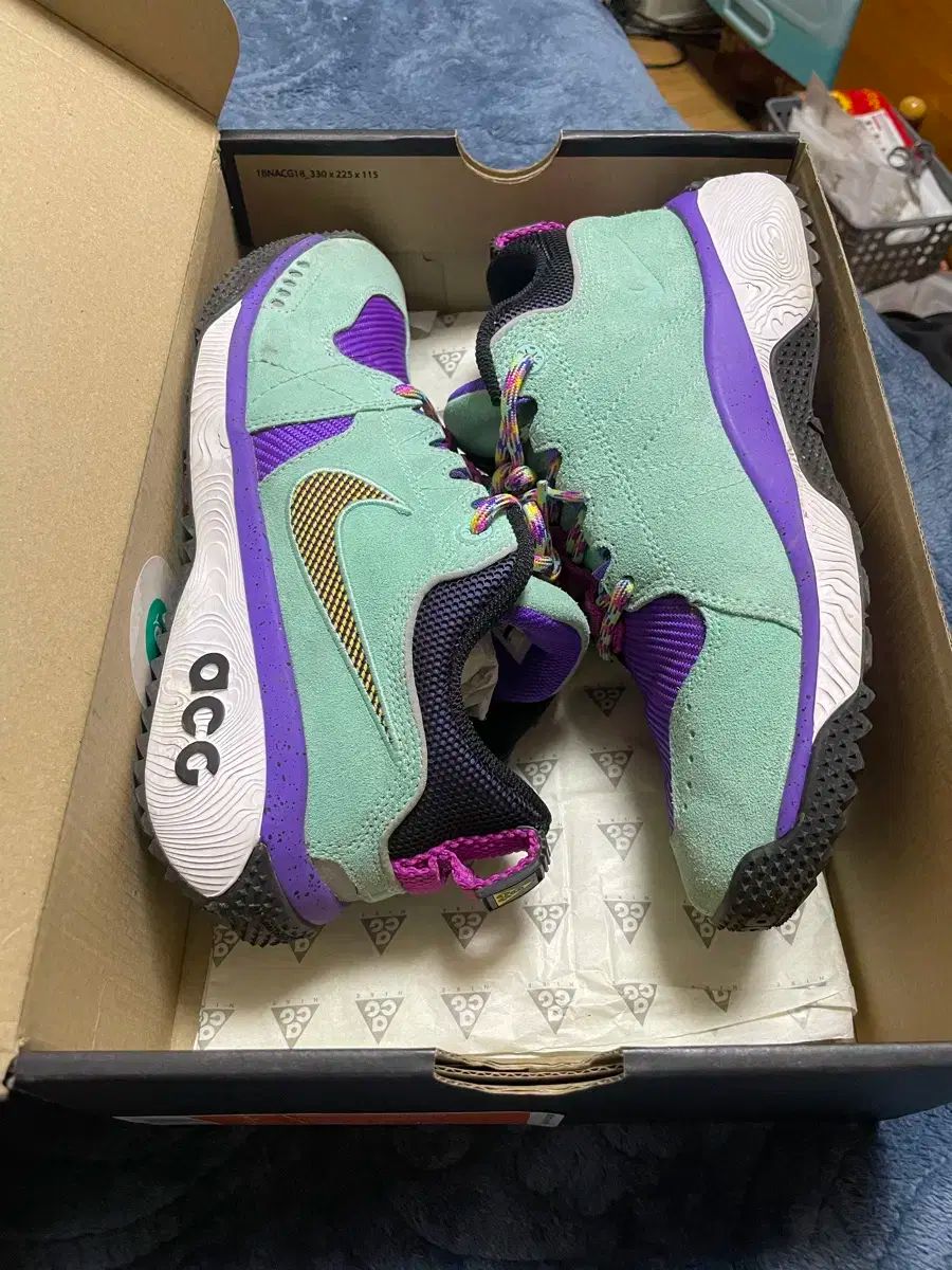 NIKE ナイキ ACG ドッグマウンテン 255