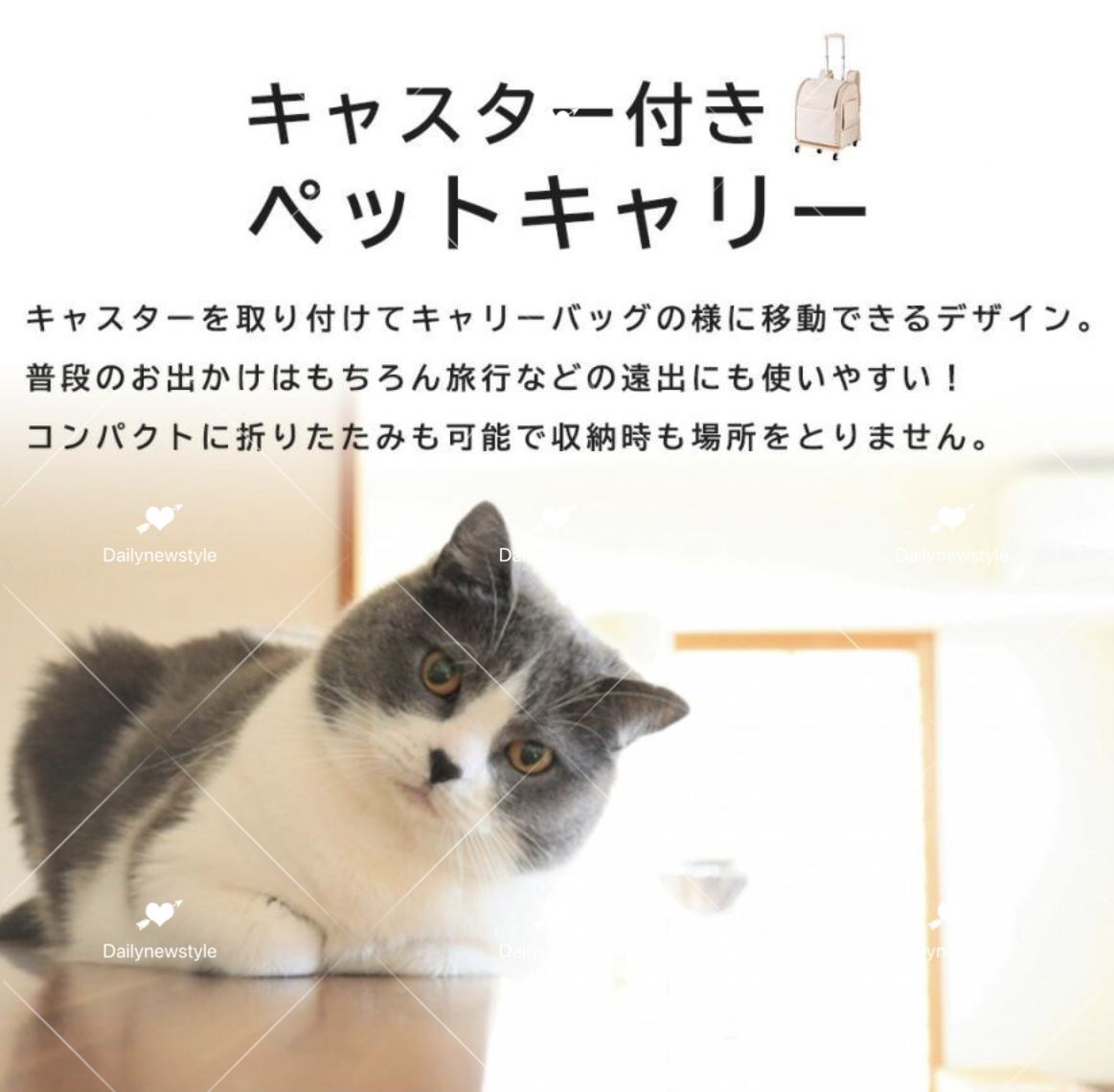 小型犬