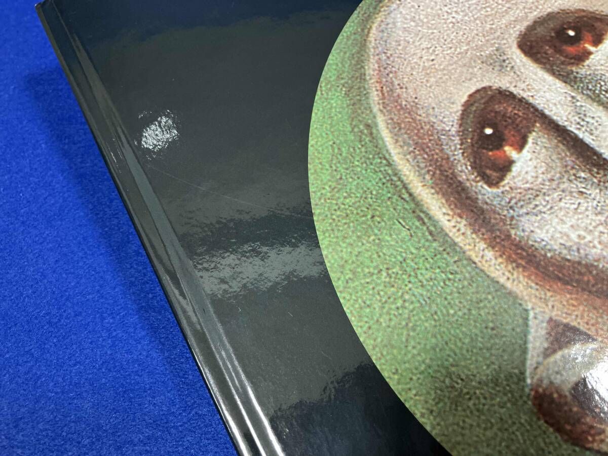 輸入盤 3CD LP DVD Queen NEWS OF THE WORLD 40TH ANNIVERSARY EDITION LP未開封 CALAISNAUTIC_FR