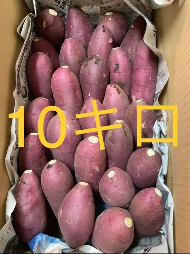 熊本県大津町平川産『紅はるか』【超お得!】焼き芋サイズ 約10キロ 熊本県大津町平川産『紅はるか』【超お得!】焼き芋サイズ 約10キロ
