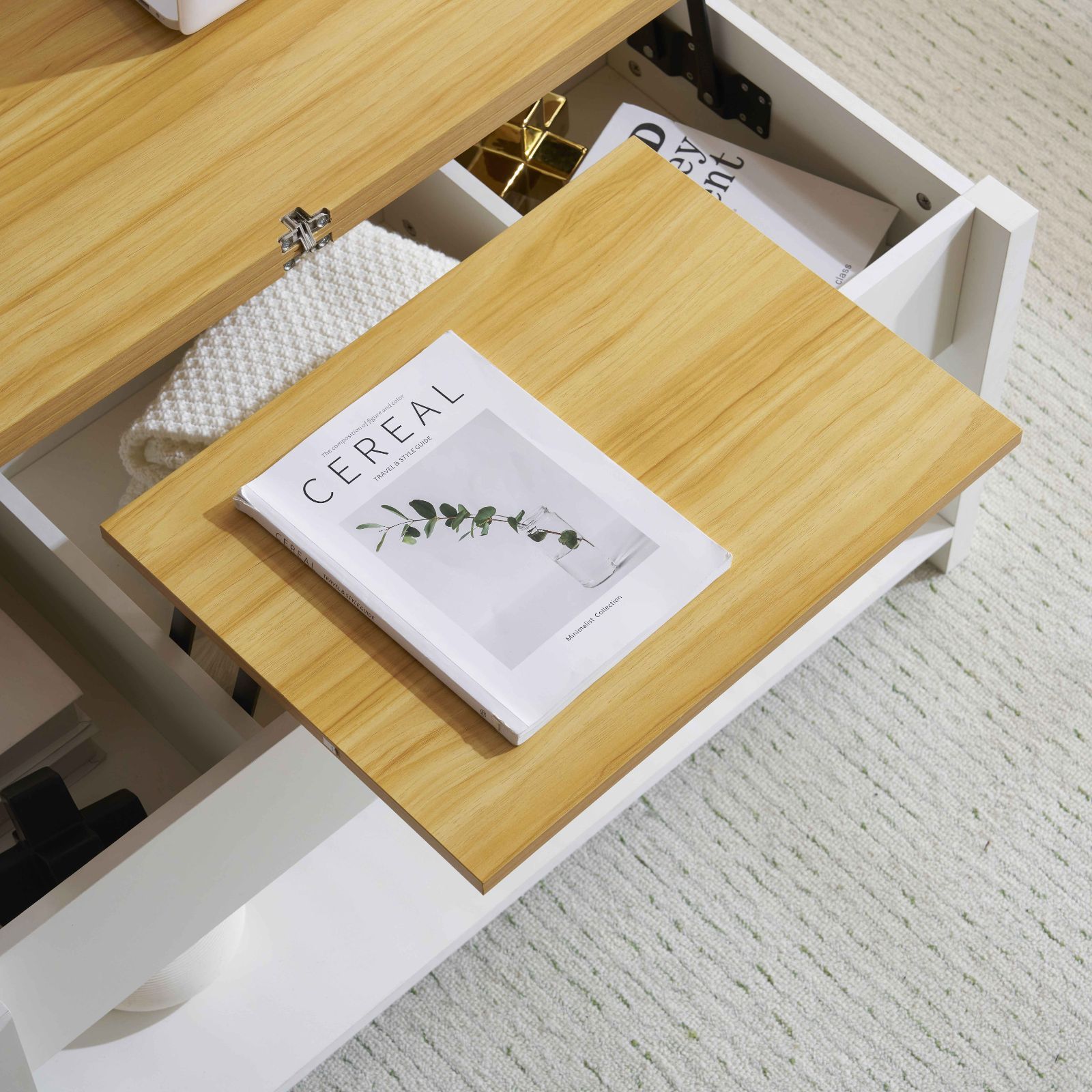 ローテーブル 収納付き センターテーブル 天板昇降式 天板2倍展開可能