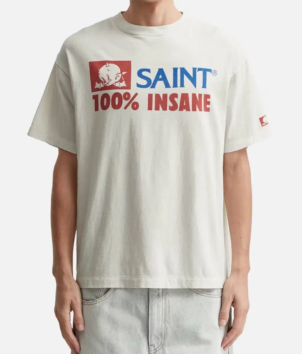 SAINT MICHAEL セントマイケル INSANE ロゴ 半袖 Tシャツ SAINT