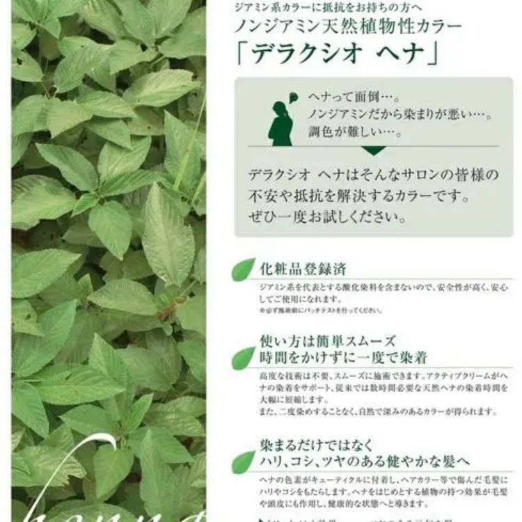 新品 ヘナ 白髪染め カラートリートメント 頭皮毛髪癒し染め 薬草植物色素