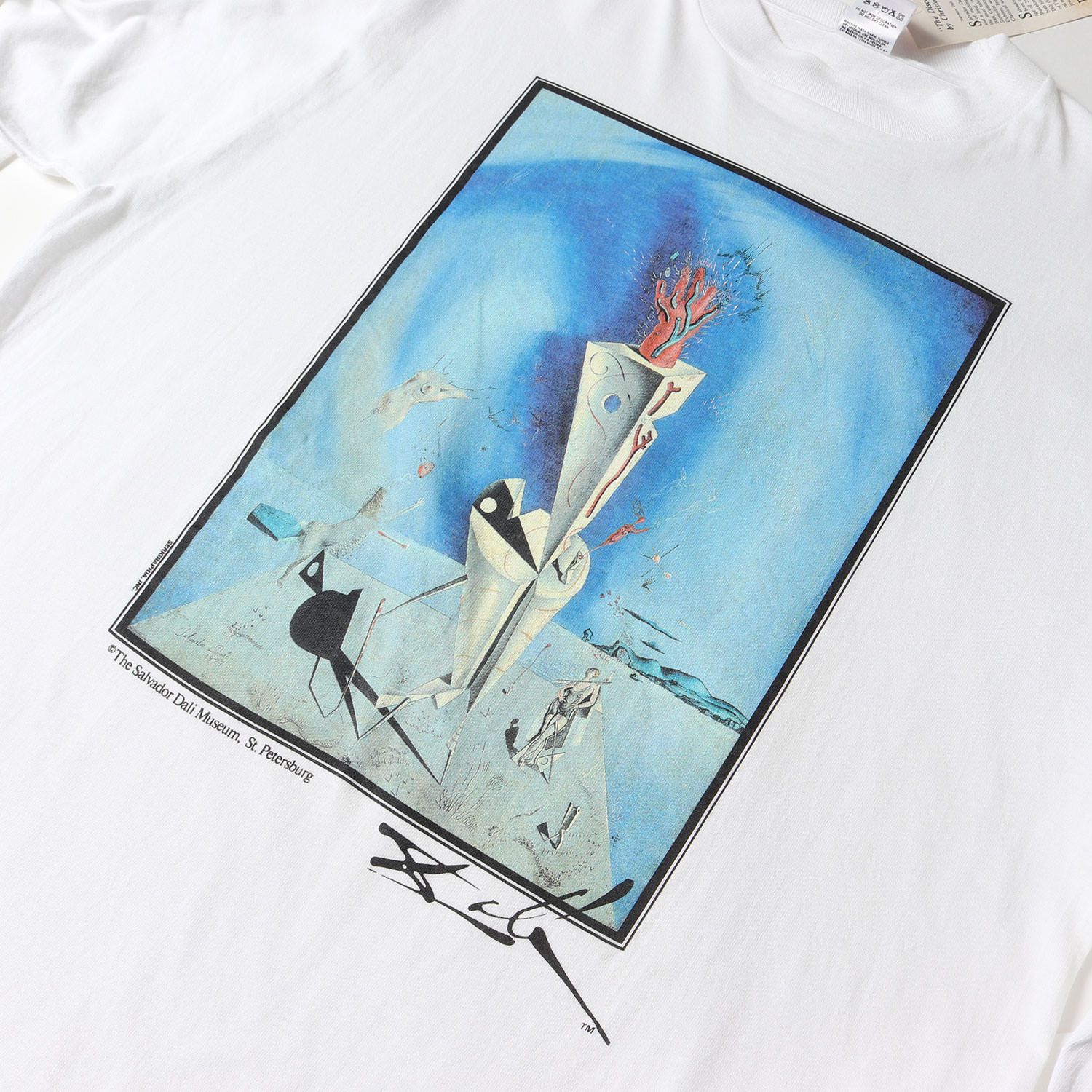 90s - 00s ヴィンテージ古着 / [器官と手] 90s Salvador Dali アート
