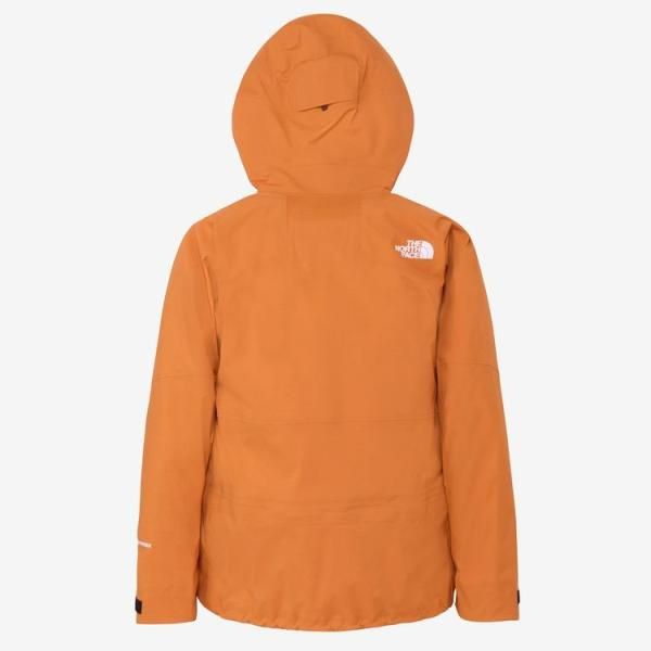 THE NORTH FACE レイバックビーシージャケット ユニセックス GORE-TEX 3層構造スノージャケット ヤムオレンジ