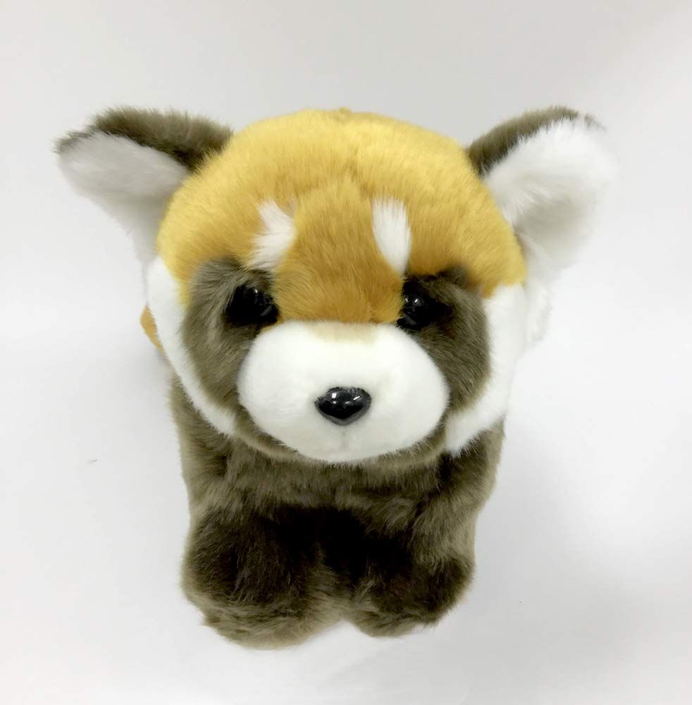 キュート販売