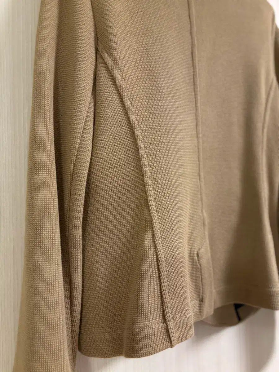 イギリス ホイッスル