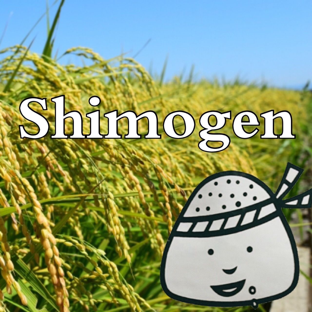 令和6年🌾京丹波町コシヒカリ20kg(5kg×4袋)　9月4日より順次発送します。
