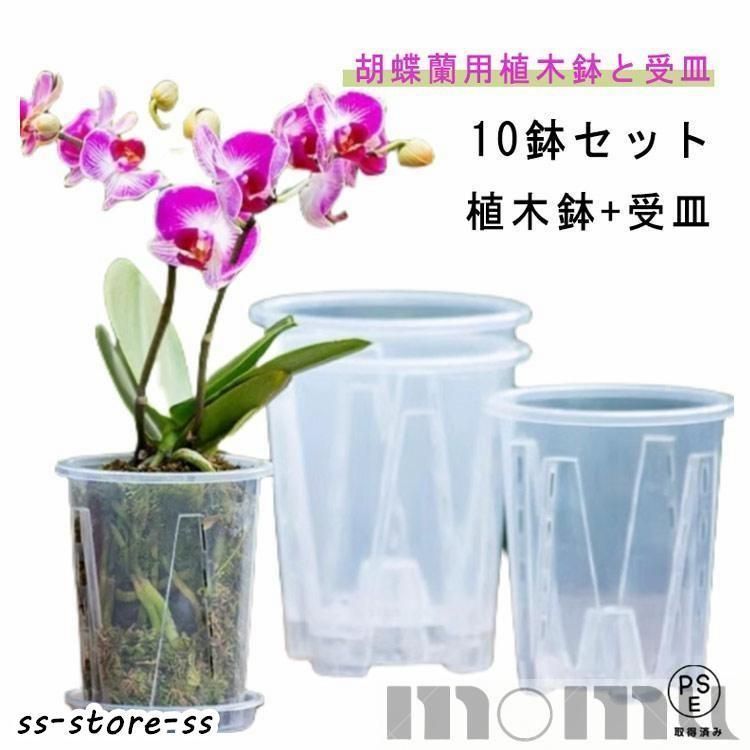 N/OHラン鉢 moon SSサイズ/中古品 未使用　植木鉢 楽天市場】陶器鉢 植木鉢 ホワイトポット角型 Lサイズ 直径18cm