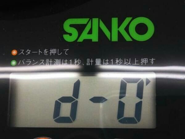 SPEEDAMORPHOUSZ