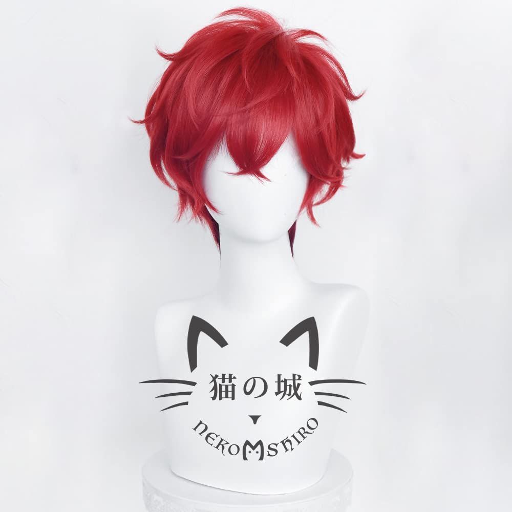猫の城 天城 一彩 あまぎひいろ コスプレウィッグ あんさんぶるスターズ! 耐熱 かつら アニメ 仮装 コスチューム小物 パーティー イベント 仮装 コスチュム ウィッグネット付き
