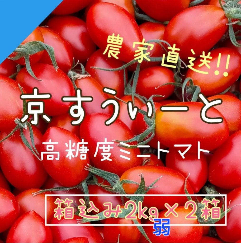 2枚で送料無料 高糖度フルーツトマト 4kg - 通販