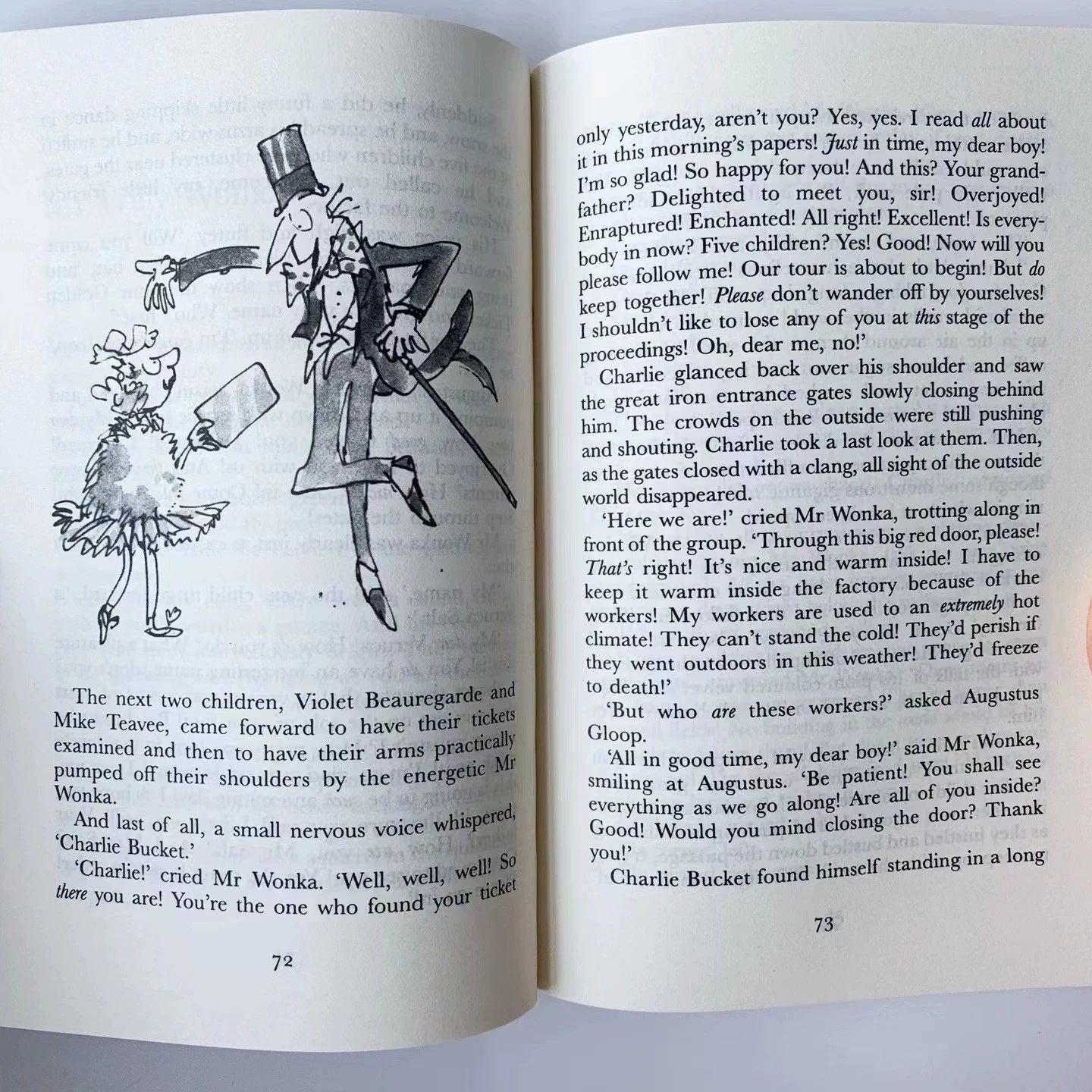 Roald DAHL collection 20冊 洋書 洋書