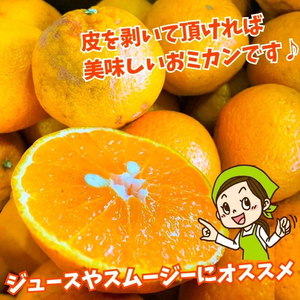 のサムネイル