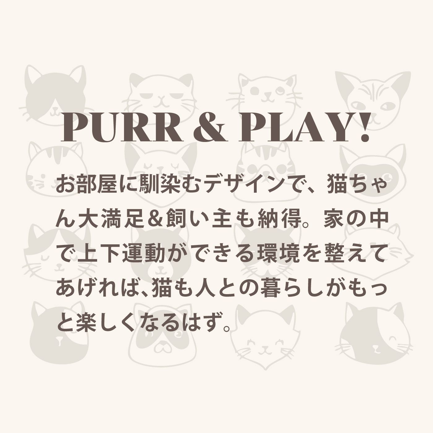キャットハウス スリム