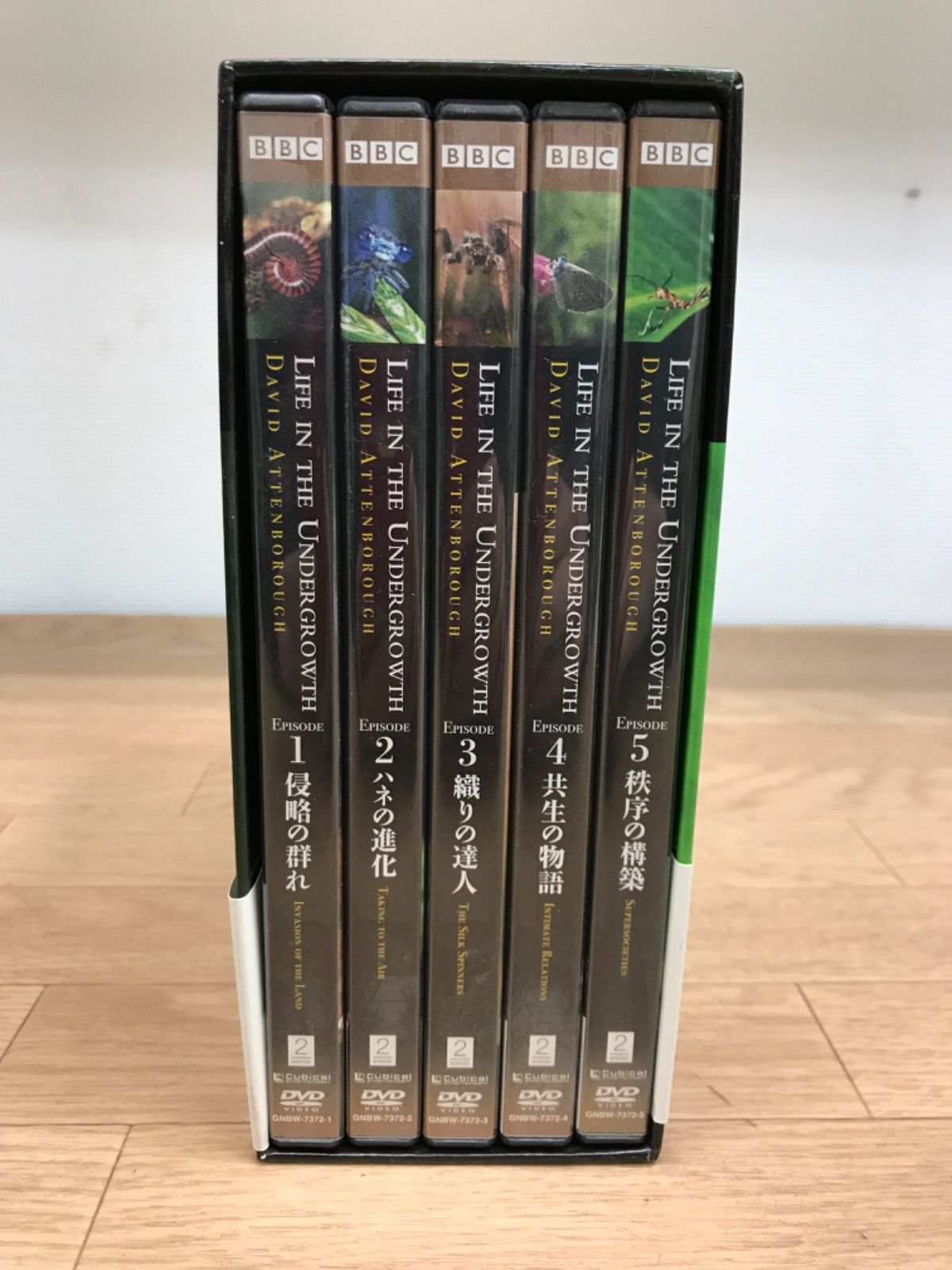 DVD-BOX