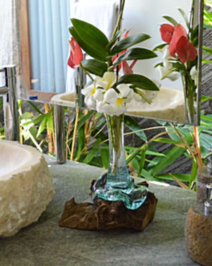 ひ*ー様 アガベ アテナータ 幹立ち株 葉先90cm 白鉢付き 観葉植物