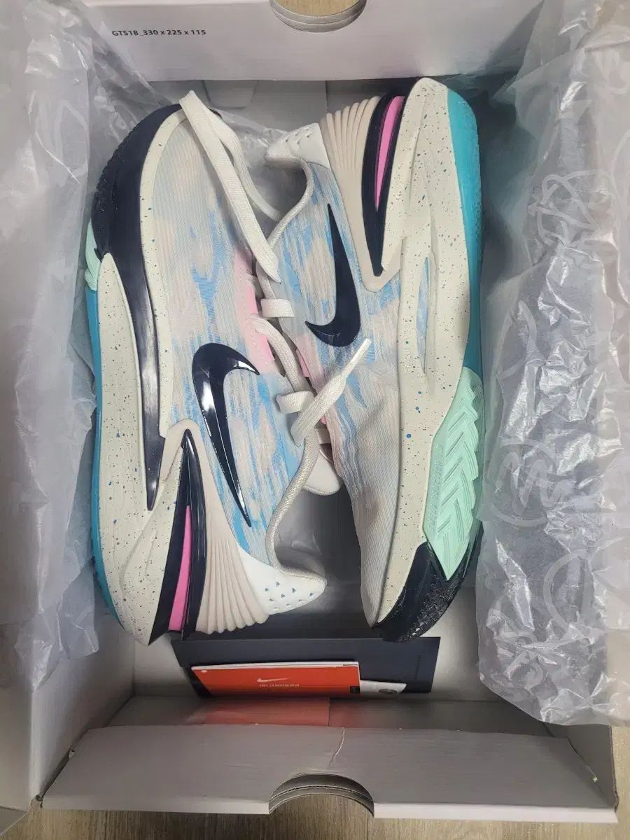 バスケットシューズ NIKE(ナイキ) GTカット 2 255